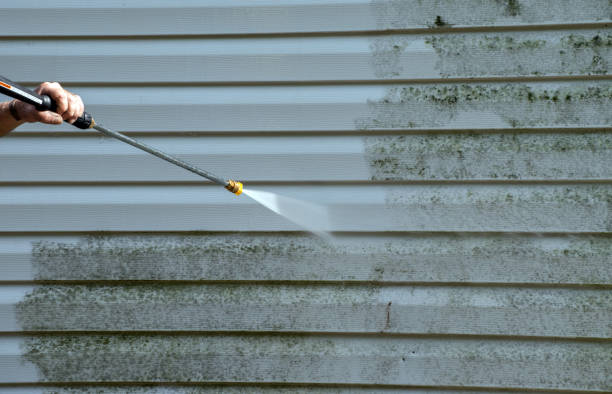 Best Driveway Pressure Washing  in Lake Grove, NY