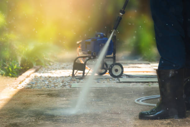 Best Gutter Cleaning  in Lake Grove, NY